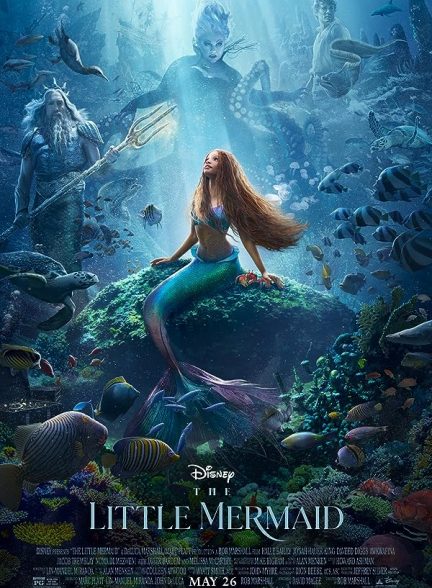 دانلود فیلم پری دریایی کوچولو The Little Mermaid